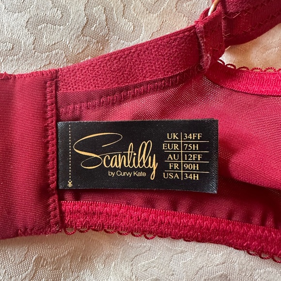 Scantilly unchained sheer plunge bra in deep red size 34FF 34H - Picture 11 of 11